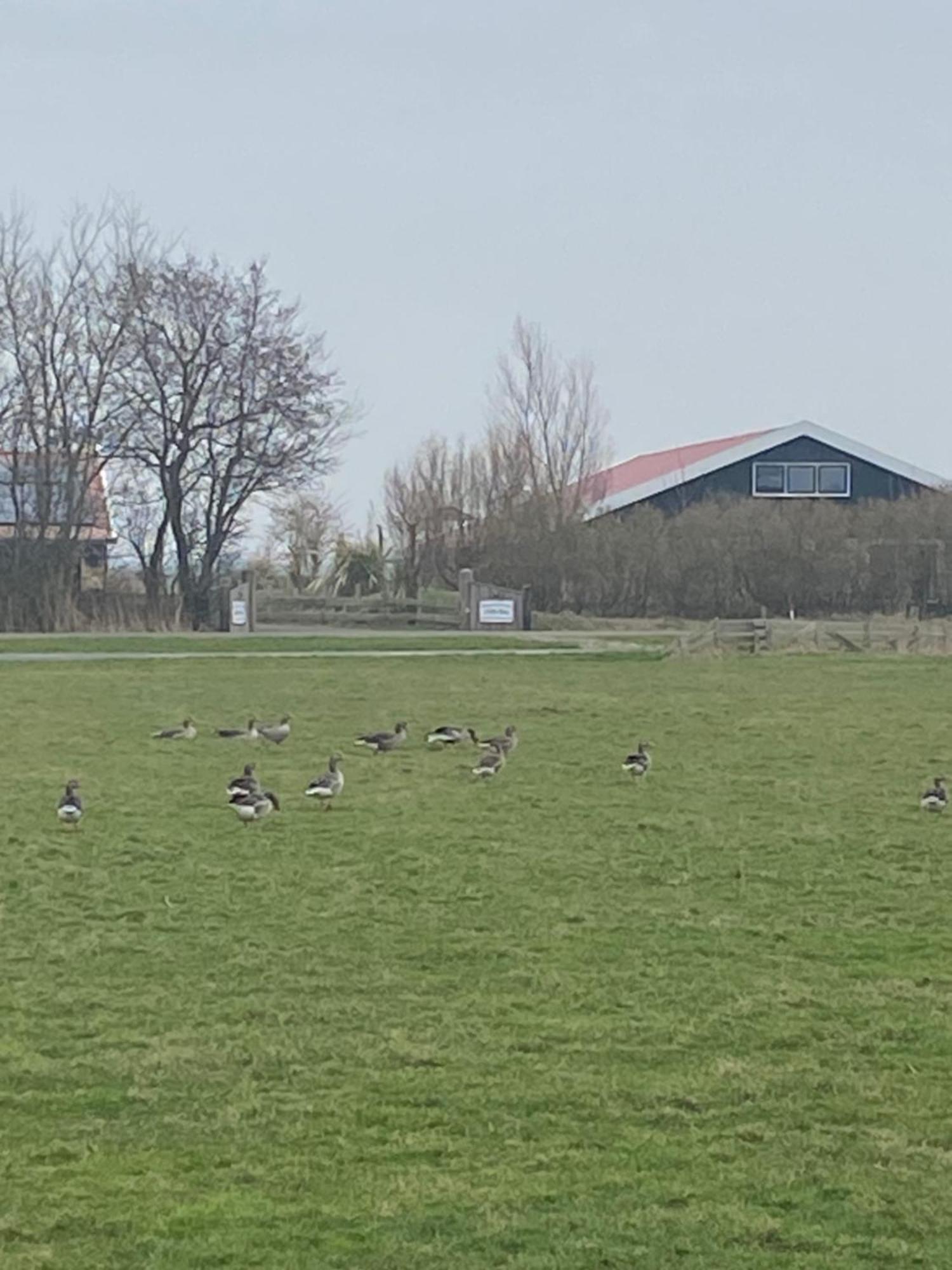 Oomes Huus Haestens And Koffie Den Hoorn  Exterior foto